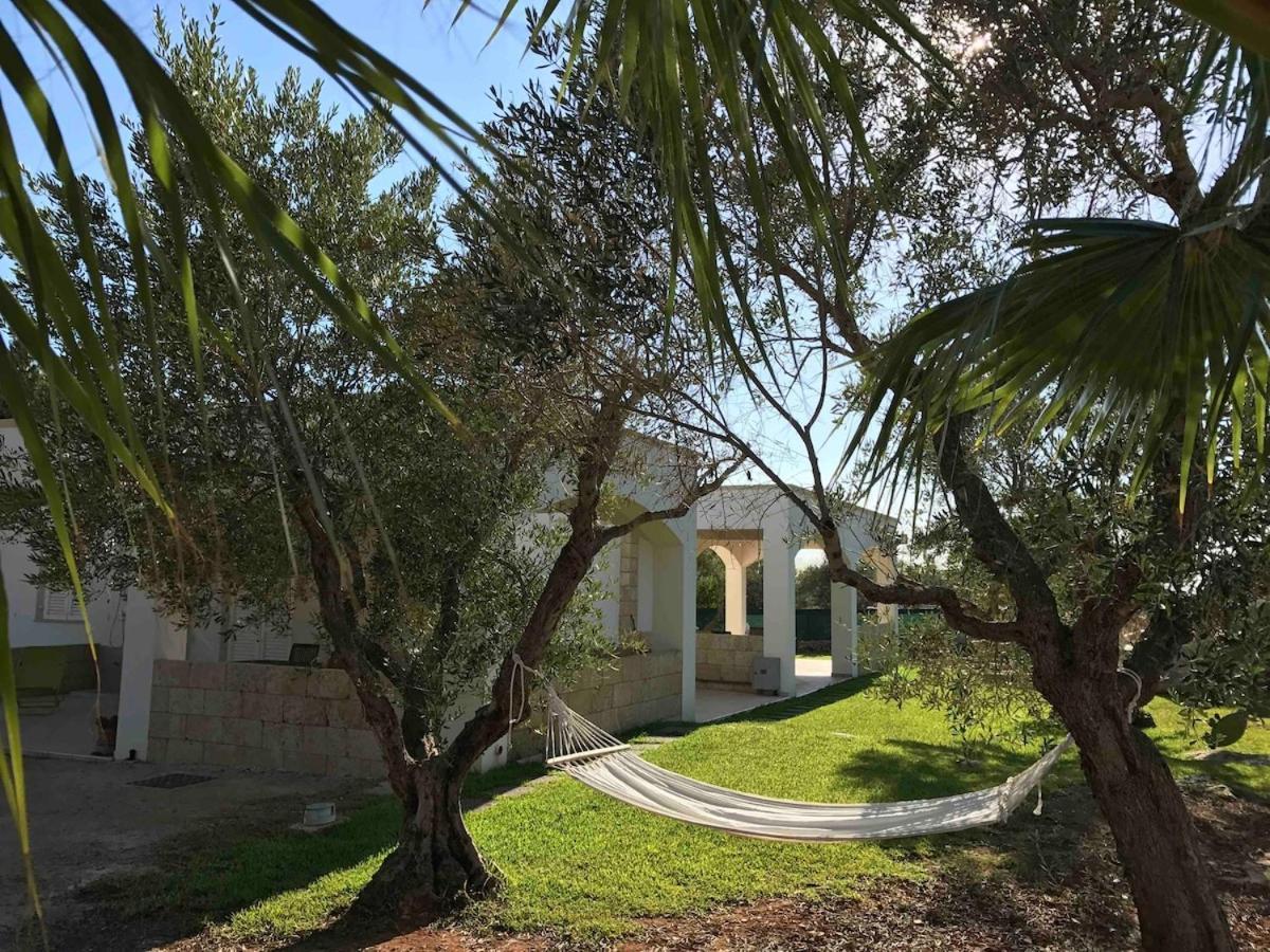 Appartamento Villa Nisapiro' סאניקולה מראה חיצוני תמונה